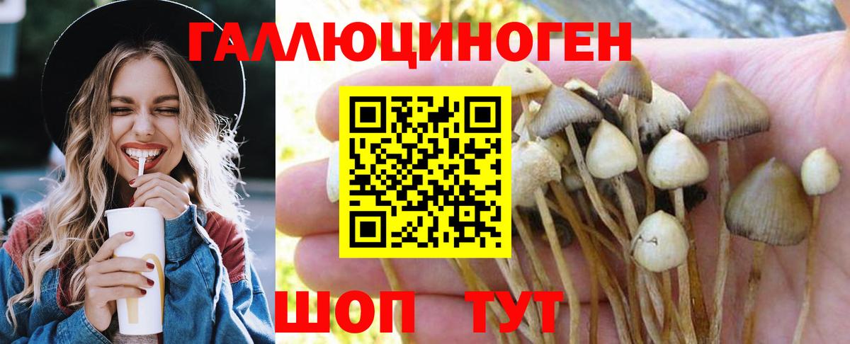 Звенигород  Псилоцибиновые грибы ЛСД  Галлюциногенные грибы прущие грибы  Вход с VPN 