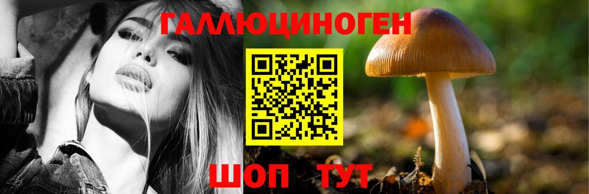Псилоцибиновые грибы Magic Shrooms Звенигород